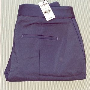 Express Columnist Dress Pants